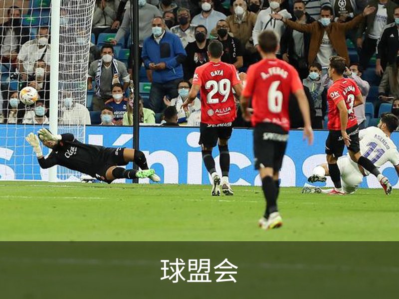 球盟会介绍